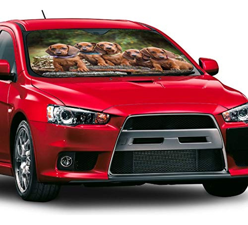 Parasol Para Parabrisas De Automóvil Perro Salchicha 139 X 7