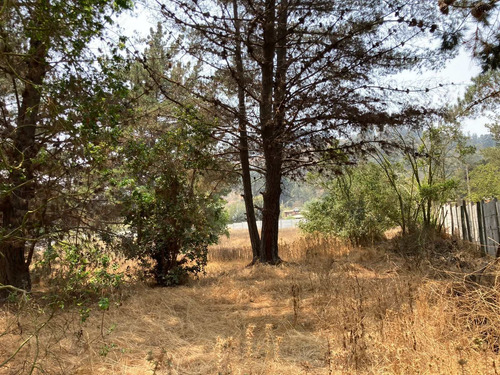 Imagen 3 de 5 de Paño Comercial En Los Pinos, Reñaca
