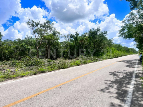 Terrenos De Inversión En Yucatán, Valladolid, México