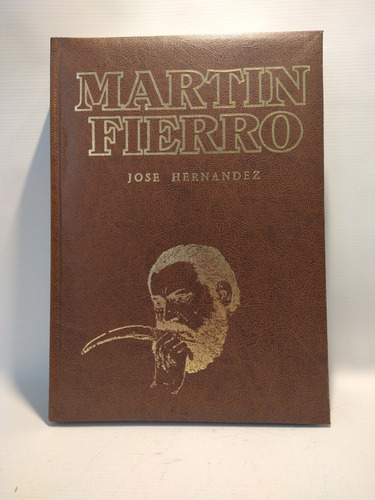Martín Fierro José Hernández Clasa 