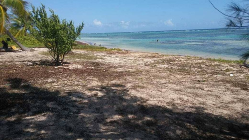 Imagen 4 de 4 de Excelente Terreno Con 20 Metros De Frente De Playa En Mahahual Q. Roo Em01221