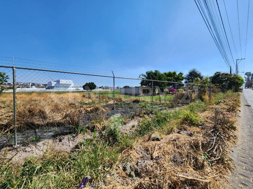 Terreno En Renta En San Juan Tejaluca, Atlixco, Puebla