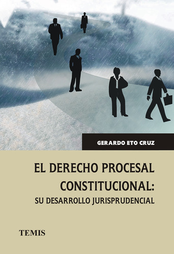 El Derecho Procesal Constitucional Su Desarrollo Jurispruden