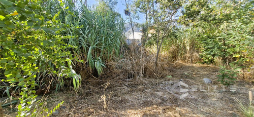 Venta De Sitio De 1.624 M2, Con 2 Casas Y Una Cabaña - Olmué
