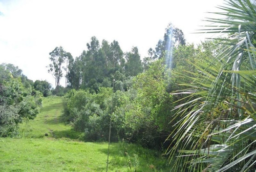 Campo En Venta