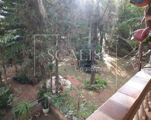 Imagem 19 de 30 de Chacara - Ch00001 - 69532583