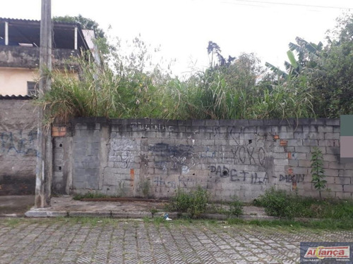 Imagem 12 de 15 de Terreno À Venda, 788 M² - Vila Moreira - Guarulhos/sp - Ai12044