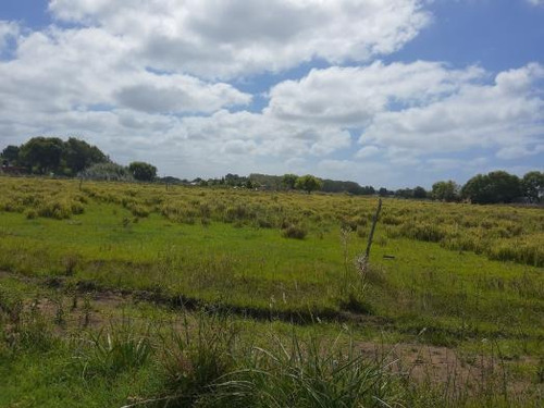 Imagen 3 de 5 de Lote En Venta Paraje Pavon (296)