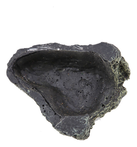Cueva Escondite De Peces, Acuario, Tortuga, Reptil, Piel Par