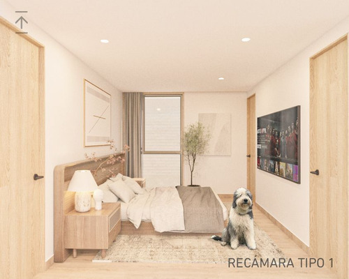 Departamento En Venta, Benito Juárez