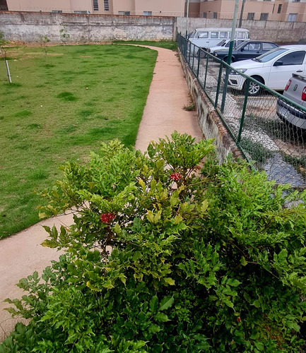 Apartamento Com 4 Quartos, 81 M² - Bairro Cinquentenário - Belo Horizonte/mg