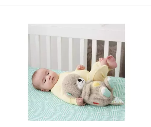 Fisher-price Baby Nutria Hora De Dormir Juguete Para Bebés