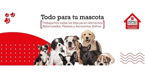 Imagen 3 de 3 de Alimento Royal Canin Medium Ageing 10+ Bolsa De 15 kg