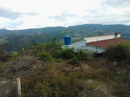 Imagen 14 de 30 de Terrenos En Venta Sanare Andres Eloy Blanco 22-21671 #m