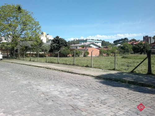 Imagem 5 de 7 de - V-2249