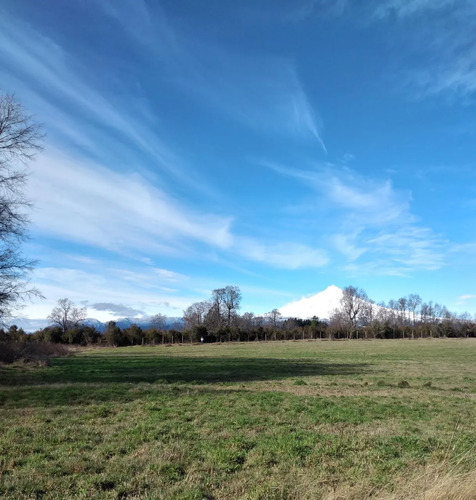 Parcela En Condominio 5000 Mt2