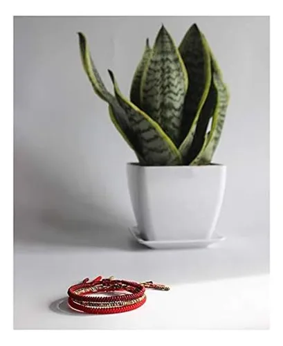Colorful Bling Bracelet China De Hilo Rojo De La Suerte Hech