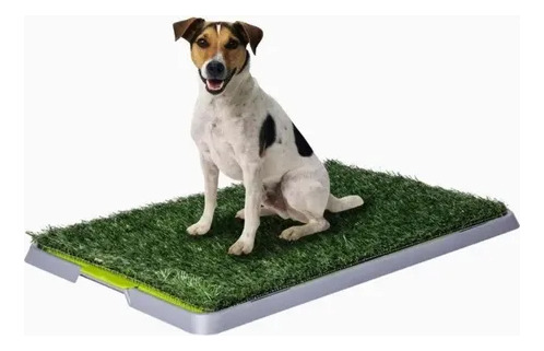 Baño Pet Potty Para Perros Reutilizable Sanitario Mascotas