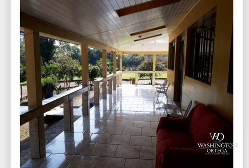 Imagem 13 de 30 de Chácara Com 3 Dormitórios À Venda, 15000 M² Por R$ 800.000 - Agarau - São José Dos Pinhais/pr - Ch0062