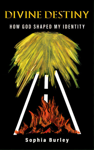 Divine Destiny: How God Shaped My Identity, De Burley, Sophia. Editorial Lightning Source Inc, Tapa Blanda En Inglés