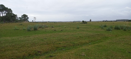 ¡oportunidad Única! Vendo Campo 1100 Has En Ruta Interbalnearia Con Instalaciones Completas, Costa Navegable U$s 8900 La Ha.