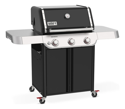 Asador Genesis E-315