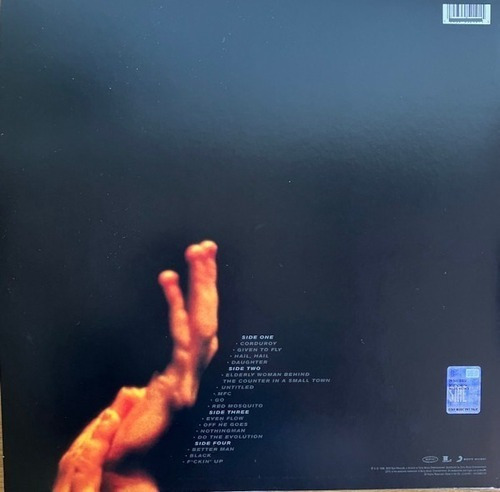 Pearl Jam Live On Two Legs Rsd 2022 2 Lp Clear Vinyl