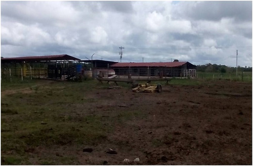 Imagen 7 de 8 de Se Vende Finca Vía Caripito, Sector Tropical Ve02-500vc-lm