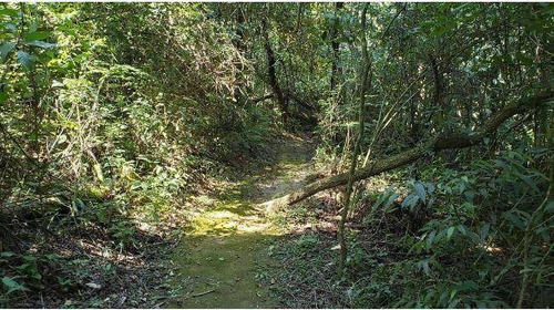 Imagem 8 de 14 de Terreno À Venda, 1000 M² Por R$ 260.000,00 - Condomínio Fazenda Jequitibá - Sorocaba/sp - Te1443