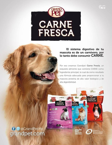 Grandpet Carne Fresca Force 4 Kg Super Premium Adult Med-gde