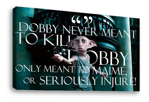 Cuadro Canvas Dobby Never Meant To Kill Or Seriously Injure