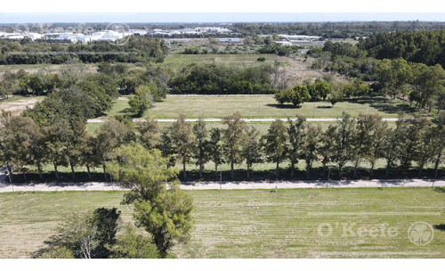 Lote En Venta, Barrio Residencial Los Cedros El Pato