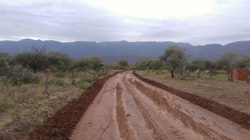 Imagen 5 de 7 de Chacra En Carpintería Con Agua