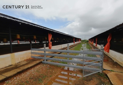 Imagen 13 de 17 de Se Vende Granja Avicola Para Inversionistas En Cantaura - Edo Anzoategui