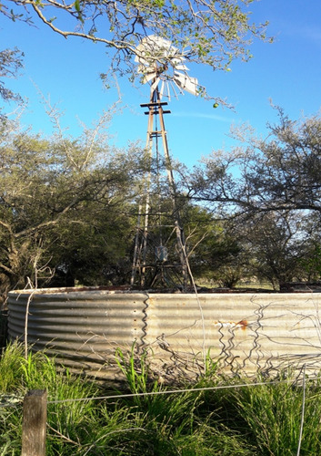 Campo En Alquiler En Punta Indio - 569 Hectáreas