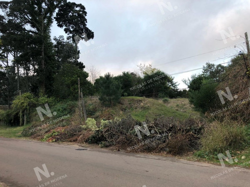 Imagen 7 de 8 de Terreno En Venta En Zona De Tranquilidad. - Punta Del Este Lugano