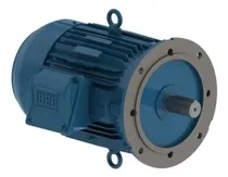 Comprar Motor Trifás W22 Premium 7.5cv 4p 112m 220\u002F380v 60hz B5d Weg