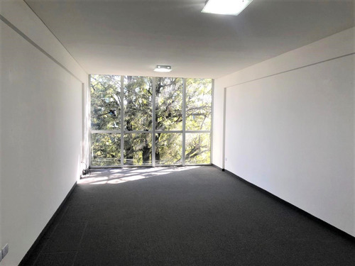 Excelente Oficina/consultorio A La Venta Calle Caamaño,pilar