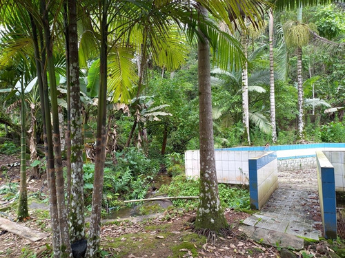 Imagem 7 de 14 de Sítio Completo Com Casa E Bar Lagos Com Peixe