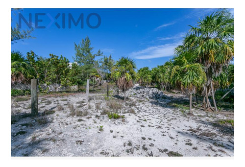 Imagen 6 de 20 de Terreno En Venta En Isla Blanca