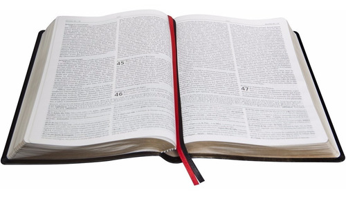 Biblia De Estudo Genebra Grande