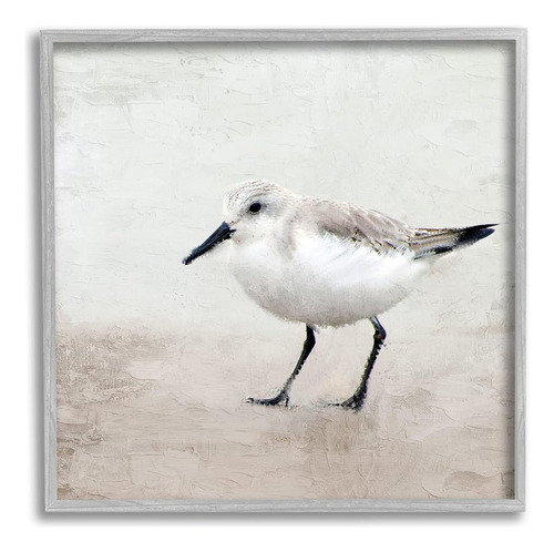 Stupell Industries Lone Sandpiper Bird Retrato Arte De Pared