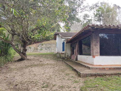 Imagen 7 de 8 de Venta Terreno 9.302m2 Los Guayabitos/baruta