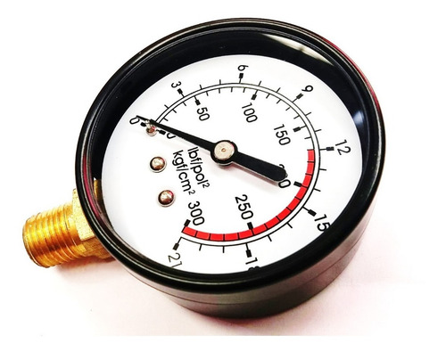 Manômetro Vertical Rosca 1/4 Escala 0 Á 21 Bar 300 Psi