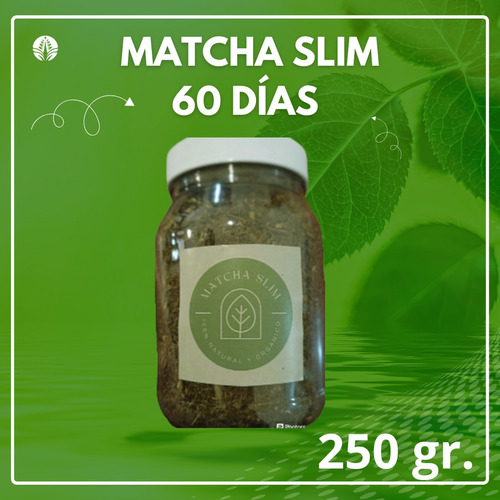 Te Matcha Slim Adelgazar Obesidad Quema Grasas 60 Días