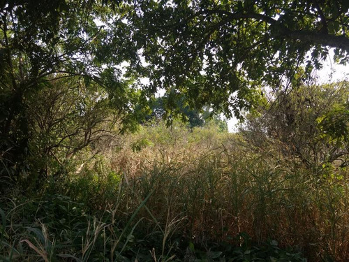 Vendo Terreno 15,000 M² Juana Moza Tuxpan Veracruz