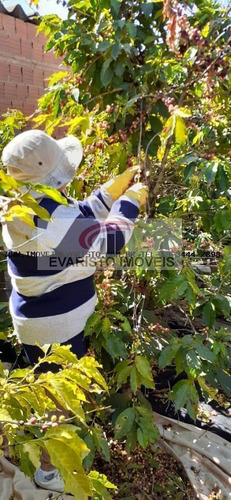 Chácara Para Venda Em Limeira, Pires De Baixo, 1 Dormitório, 1 Banheiro - 2074_1-967923