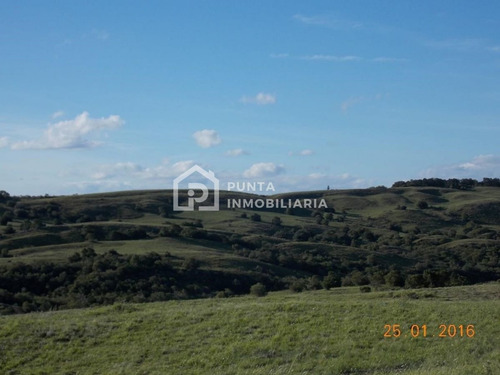 Imagen 3 de 30 de Venta Chacra 96has En Minas, Lavalleja