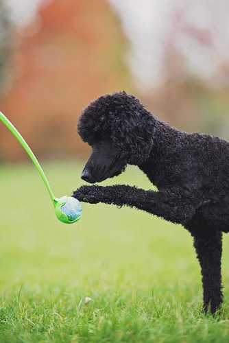 ¡tíralo! Lanzador De Pelotas Para Perros Sport 14s, 14 De Lo