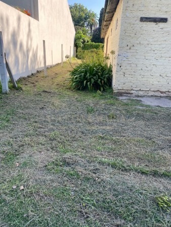 Imagen 6 de 30 de Lote 600m2 Bella Vista